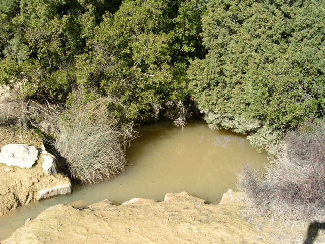 Bassicó de Pinet