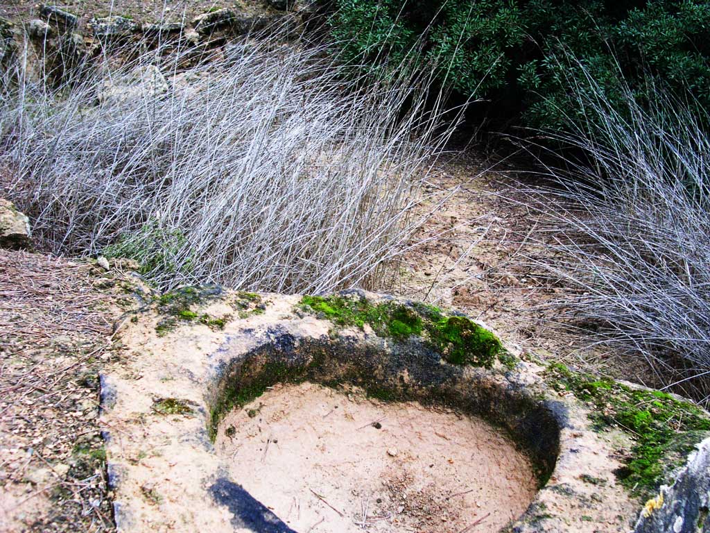 Bassa de la vall de Bonhom